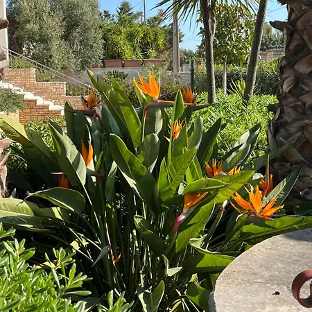 Buonasera Villa Torre Lapillo